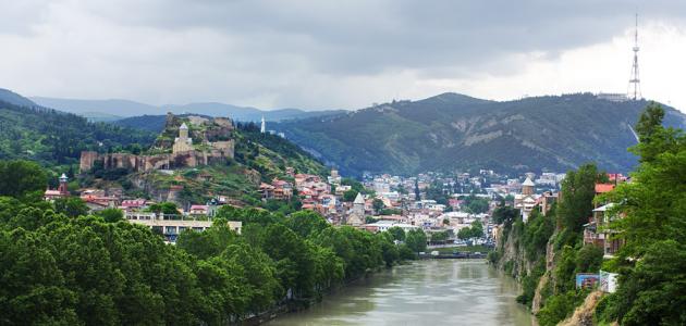 المصريين في جورجيا