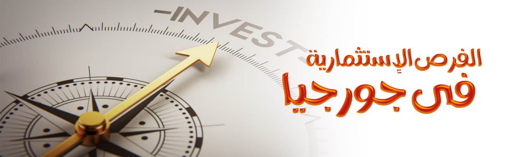 فرض الاستثمار في جورجيا