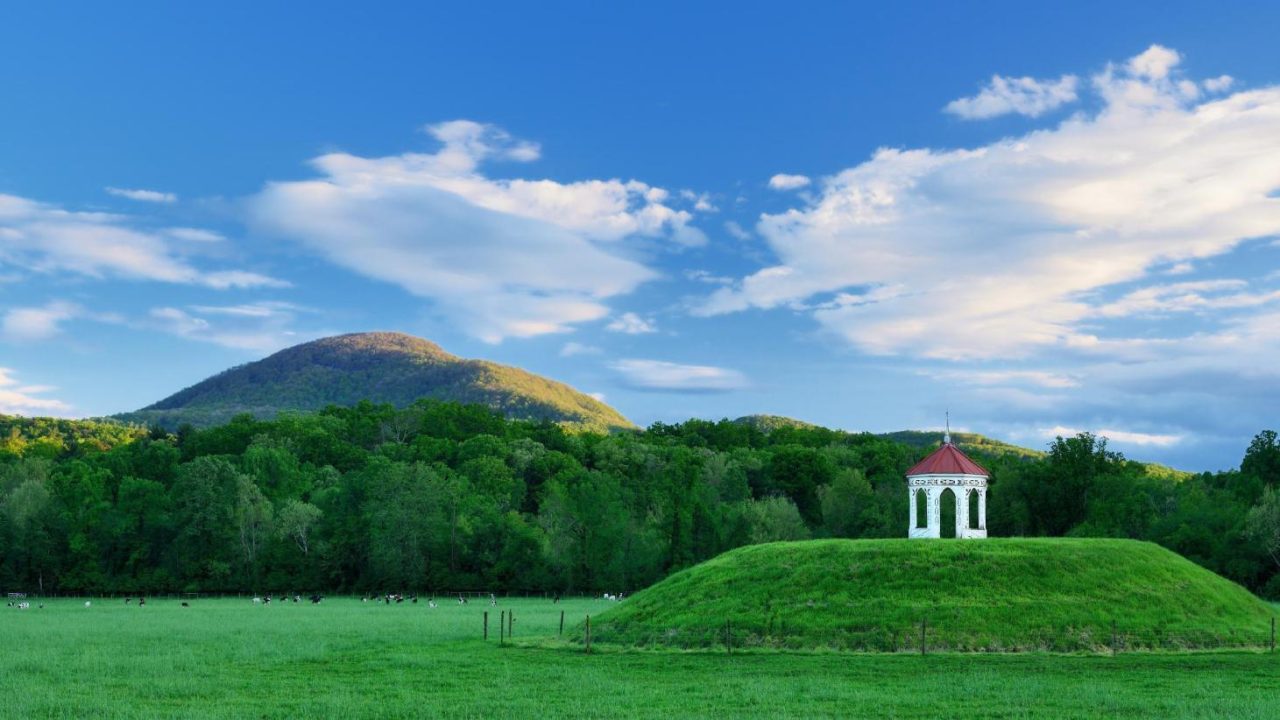 سعر تذكرة جورجيا