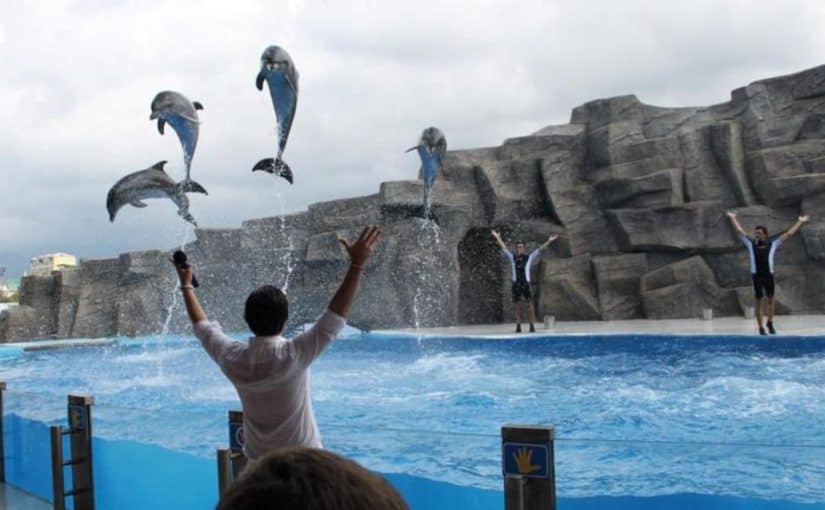 استخراج فيزا جورجيا