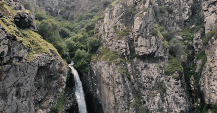 تكلفة السائق الخاص في جورجيا