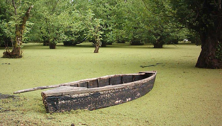 المعالم السياحية في أستارا