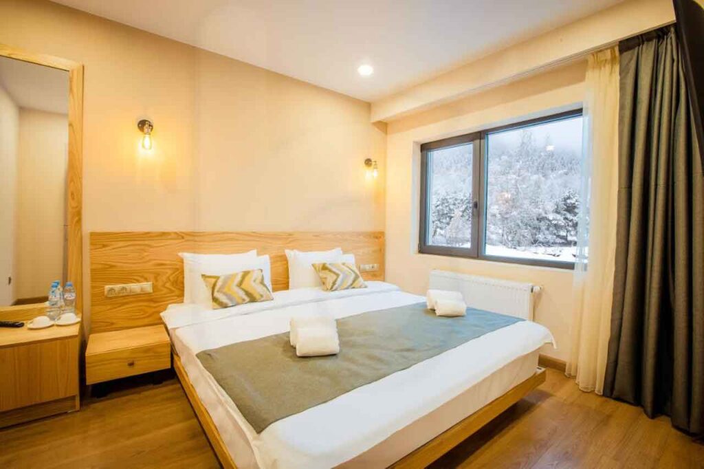 فندق باكورياني ان Bakuriani خمس نجوم - تارجت للسياحة 2