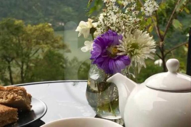 اكواخ-Woodpecker-باتومي-(7)