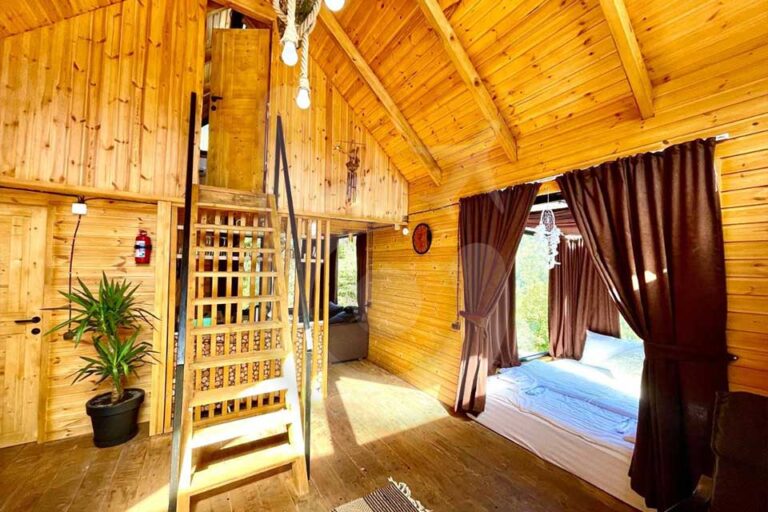 اكواخ-Woodpecker-باتومي-(9)