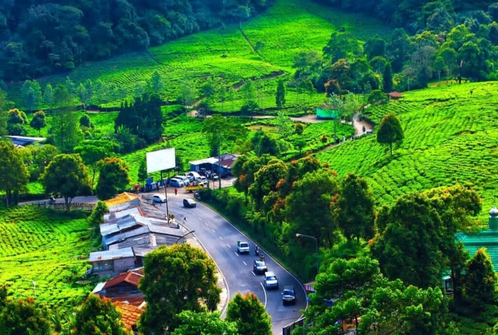 بونشاک تارجت للسفر و السياحة