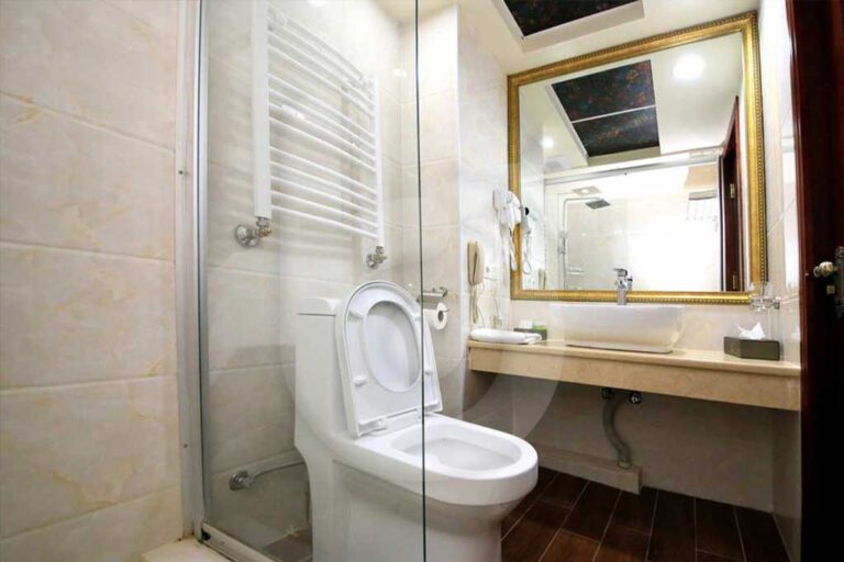 فندق-برجومي-بالاس-4-نجوم-borjomi-(7)