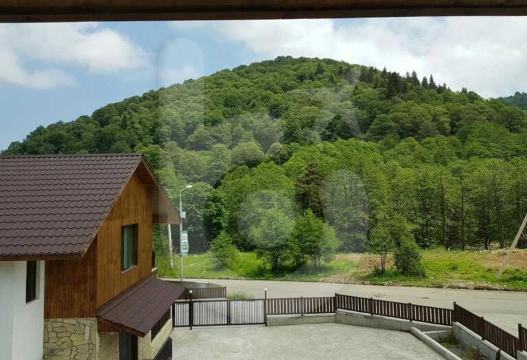 فيلا-كريستال-تاون-هاوس-باكورياني-(2)