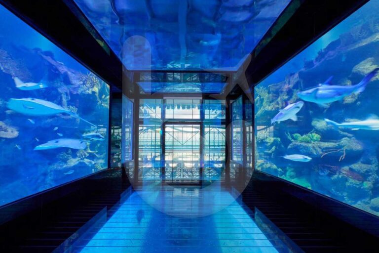 منتجع-بارجراف-5-نجوم-باتومي-(8)