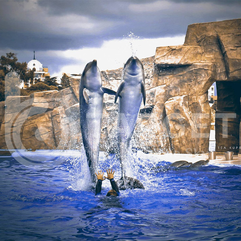 دولفیناریوم باتومی گرجستان تارگت تراول