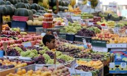 أسواق شاماخى