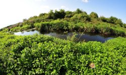 الينابيع المعدنية كوبوليتي