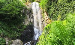 حديقة-المرح-كوبوليتي