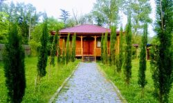 حديقة كوتايسي النباتية