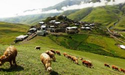 قرية-خيناليج-قوبا