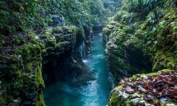 كوتايسي كانيون