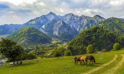 محمية بيرغولو